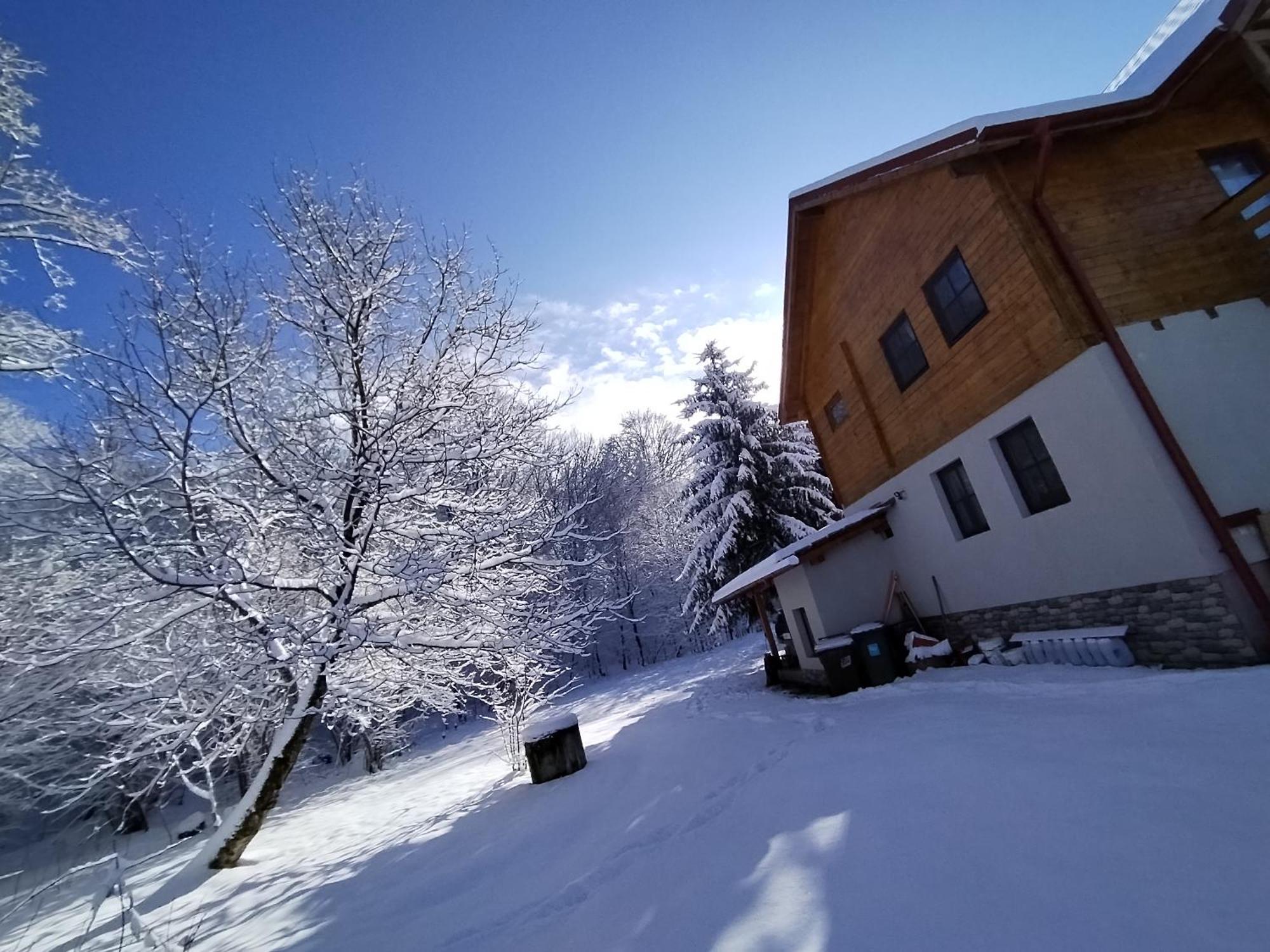 Susurul Apei Chalet Porumbacu de Sus Exterior photo